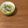 Etsu☆ko's cooksnap of when they made ねぎ塩豚スープが抜群♪♪大根スープ.
