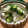 ボブナナ's cooksnap of when they made キャベツと胡瓜の新漬け.