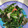 ☆SKRSK☆'s cooksnap of when they made ほうれん草とカニカマの磯辺和え.