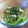 いたちゃん55's cooksnap of when they made 2022年7月絹ごし豆腐のチョレギサラダ.