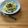 Etsu☆ko's cooksnap of when they made オイルサーディンとしめじのパスタ.