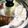 ■茉莉■'s cooksnap of when they made たけのこアク抜き 米ぬか お掃除楽々.