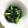 クックHX2GFD☆'s cooksnap of when they made 川流れ菜のおひたし.