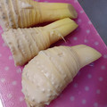 ひっこ's cooksnap of when they made 生たけのこの下処理.