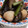 か～ぽ☆'s cooksnap of when they made 里芋とナスの煮物.