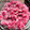 ayusキッチン's cooksnap of when they made 桜の花で♡簡単桜の塩漬け.