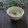 まろんかふぇ's cooksnap of when they made 豆乳で♪ごぼうの和風ポタージュ.