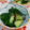 赤い電話's cooksnap of when they made きゅうりの塩昆布漬け.