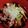 クックE7XI8V☆'s cooksnap of when they made えっ！？手順これだけ！？バリうま神つけ麺.