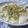 えみんちゅ＊'s cooksnap of when they made ぶきっちょさんの塩マーボー豆腐.