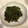 よっスー's cooksnap of when they made ほうれん草の胡麻和え.