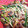 ブランシュkuu's cooksnap of when they made 砂ずりとニラもやしのオイスター炒め.