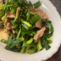 おじさんの自炊料理's cooksnap of when they made わけぎと鶏肉(豚肉)のスピード炒め.