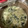 ねこしずちゃん's cooksnap of when they made ほうれん草のお手軽クリームスープ☆簡単☆.