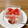 あっちゃんキッチン♪'s cooksnap of when they made 簡単いちごのゼリー.
