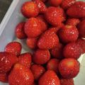 aya___mama's cooksnap of when they made シェフ直伝！甘くない苺を美味しくする方法.