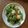 クックK9L00P☆'s cooksnap of when they made クレソンときゅうりのサラダ.