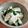 ｊｏｃｏｍｏｍｏｌａ's cooksnap of when they made わかめと豆腐のサラダ.