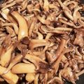 ももゆかずりん's cooksnap of when they made 常備菜に！簡単きのこのバルサミコマリネ.