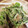 ハチ8コロ8's cooksnap of when they made タラの芽のごまみそ和え.