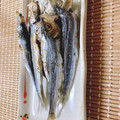 ふくmama✨✨'s cooksnap of when they made うるめいわしの塩焼き.