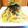 ダッフィーニーうに's cooksnap of when they made 簡単☆和えるだけ☆鮭とたらこのパスタ☆.