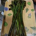 大魔女's cooksnap of when they made 本物の灰deわらびのあくぬき.