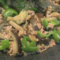 ぬこぬい戸田さん's cooksnap of when they made ナスとピーマンの肉味噌炒め.