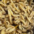 トコタン's cooksnap of when they made 簡単☆しめじだけの甘辛煮.