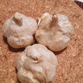 michi:630's cooksnap of when they made 【炊飯器で】自家製熟成黒ニンニクの作り方.