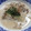 ぷりまめ's cooksnap of when they made スイス　豚肉のきのこクリームソース煮込み.