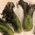sadobobo's cooksnap of when they made ◎たらの芽の米粉揚げ◎.