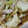 nany44's cooksnap of when they made たけのこの中華風炒め.