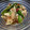 クック0THS6P☆'s cooksnap of when they made オクラとささみの梅ポン和え.