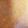 クックPKD3NI☆'s cooksnap of when they made 海老とトマトとにんじんのスープ。.