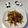 大魔女's cooksnap of when they made 簡単！美味しい♡山うどの皮のきんぴら.