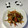 大魔女's cooksnap of when they made 簡単！美味しい♡山うどの皮のきんぴら.