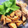 クックG1CG0C☆'s cooksnap of when they made 鶏手羽元とたけのこの煮物.