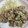 匡史さん's cooksnap of when they made 豚ロース薄切り肉の青ねぎわさびマヨ焼き.