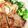 クックM96XDX☆'s cooksnap of when they made 簡単！手作り☆ガリマヨドレッシング☆.