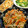 37⭐'s cooksnap of when they made 豆腐で仕上げる☆筍とこんにゃくの炒め煮.