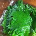なーなちゃん's cooksnap of when they made ごま油香る大葉の塩漬け.