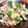 MizuhoBank's cooksnap of when they made 菜の花•筍•新玉ねぎのわさび醤油ドレ.