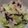 クックZCV6BF☆'s cooksnap of when they made 簡単副菜　白菜＋ツナ　マヨ昆.