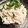 お料理大好きライラ's cooksnap of when they made *ササミの梅こぶ茶和え*.