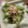 はなぴっち's cooksnap of when they made ☆スナップエンドウの和風からしマヨ♪.