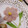 みっちゃん❇️68's cooksnap of when they made ハムと卵そぼろでコスモス.