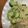 ちゃぎー's cooksnap of when they made もやしきゅうりナムル.