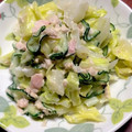 見習い台所戦士's cooksnap of when they made 簡単☆キュウリとキャベツのツナマヨ和え.
