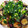 クックCNZGFQ☆'s cooksnap of when they made ナスとえのきの梅肉あえ.